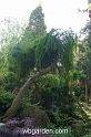 wbgarden spring 13
